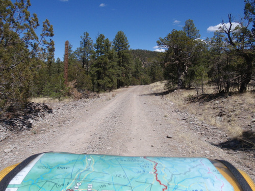 Finally we see natural forest road.